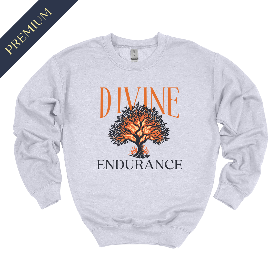 Premium Divine Endurance Christian Sweatshirt