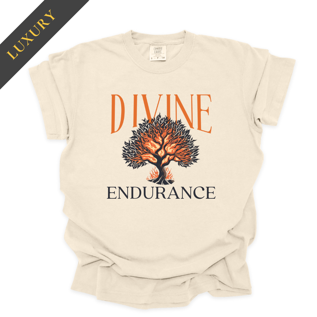 Luxury Divine Endurance Christian Shirt