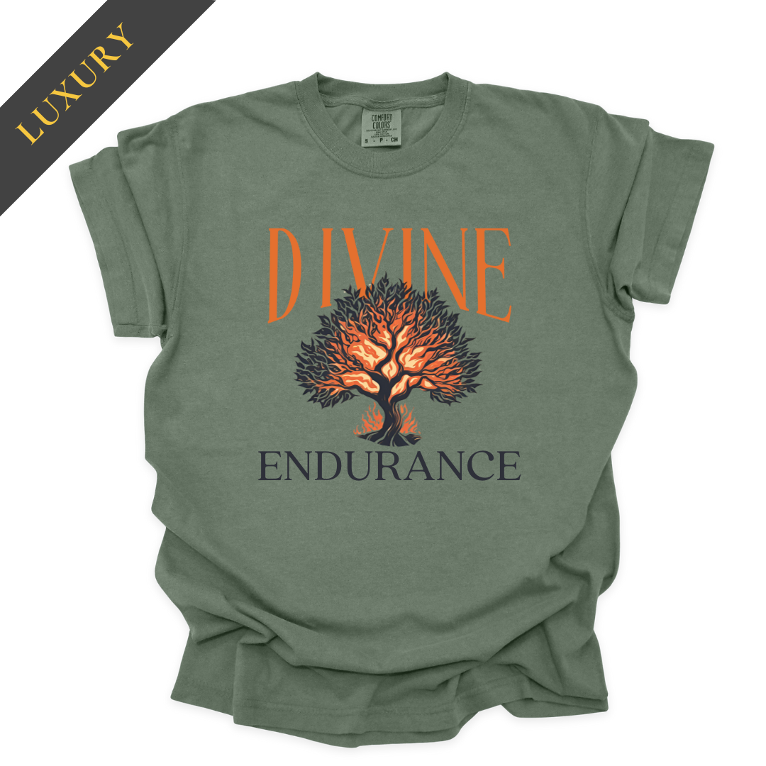 Luxury Divine Endurance Christian Shirt