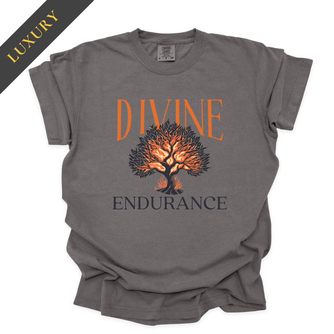 Luxury Divine Endurance Christian Shirt