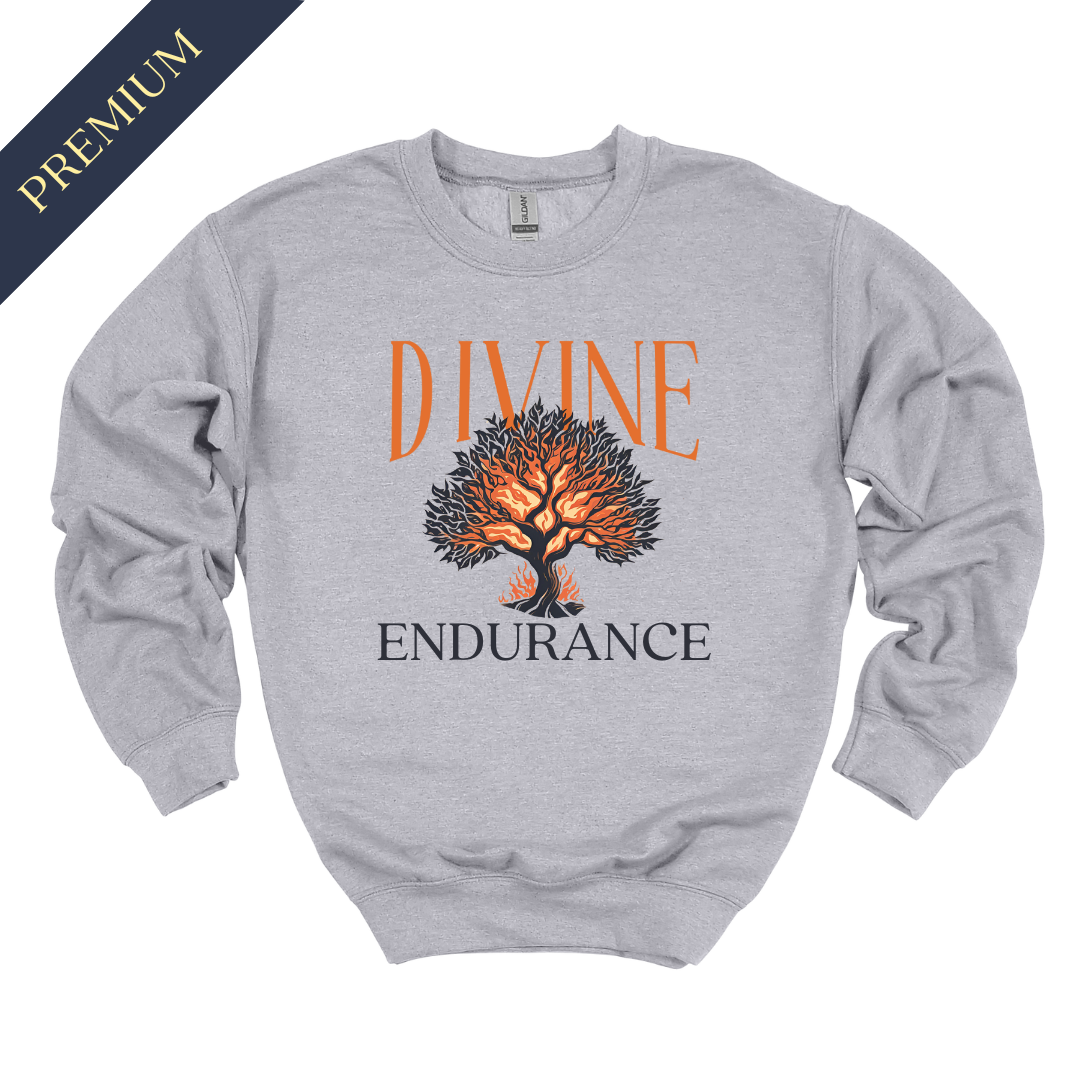 Premium Divine Endurance Christian Sweatshirt