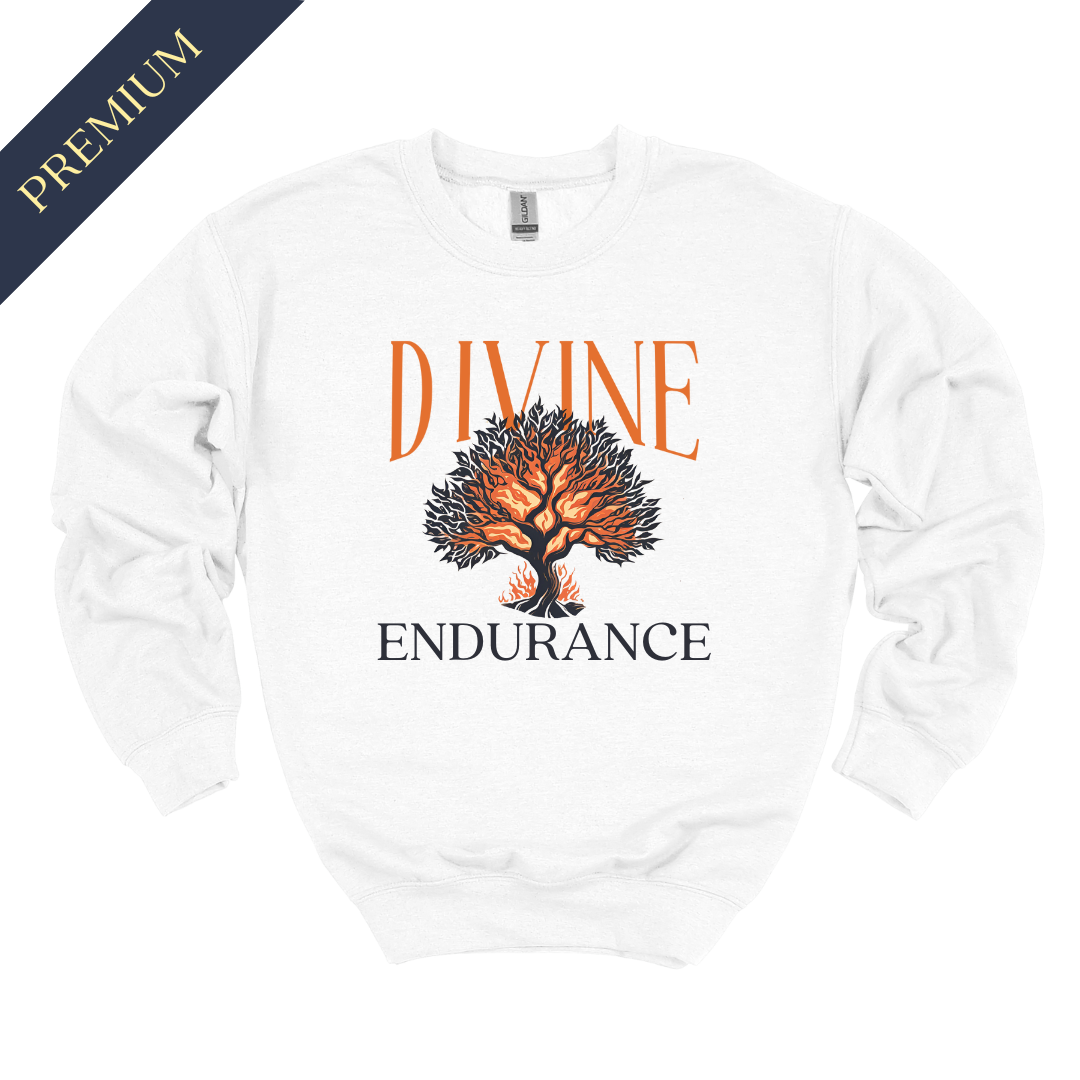 Premium Divine Endurance Christian Sweatshirt