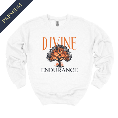 Premium Divine Endurance Christian Sweatshirt