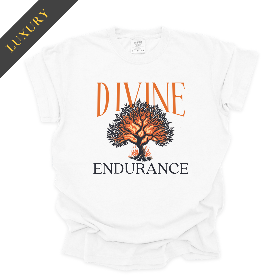 Luxury Divine Endurance Christian Shirt